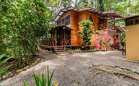 Pachamama Jungle River Lodge - Punta Uva